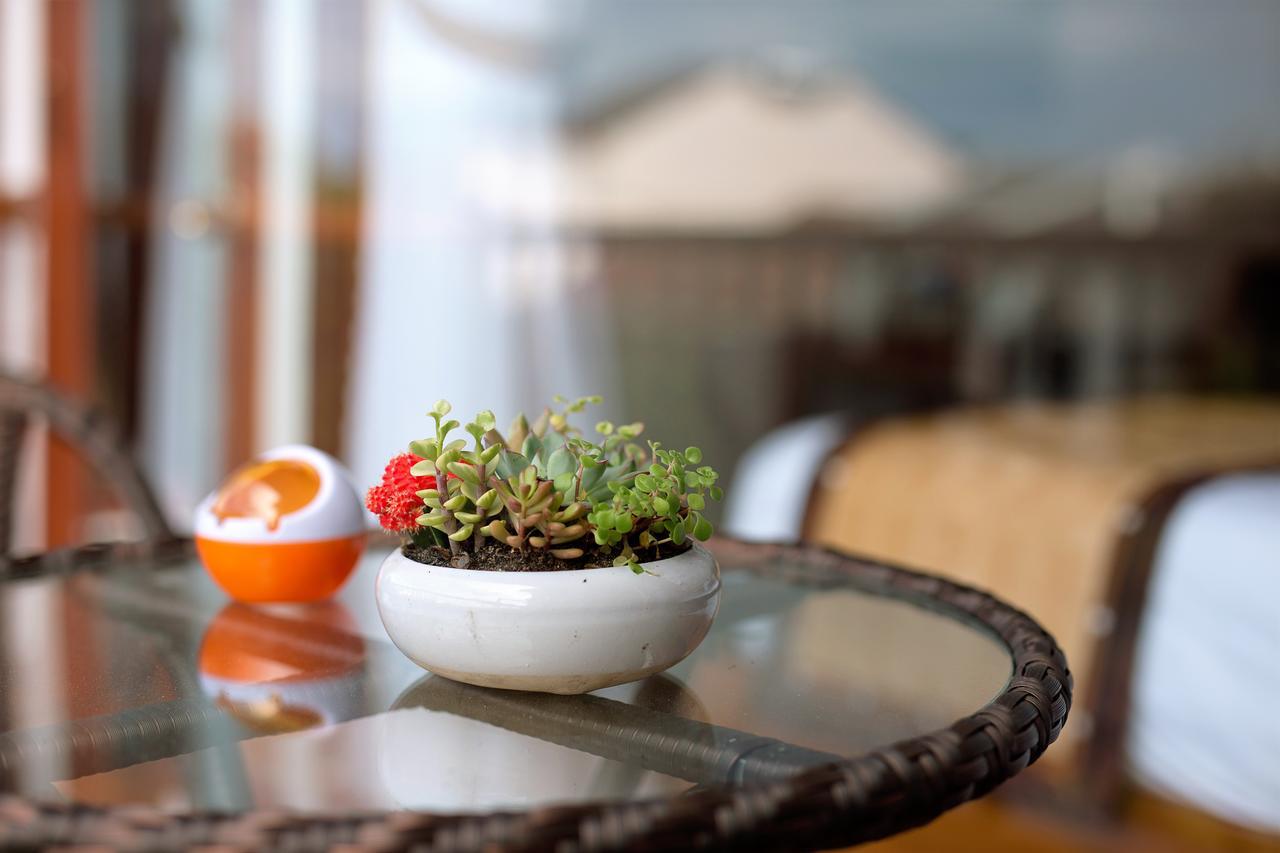 Hoi An VI Khoa Villa Екстер'єр фото
